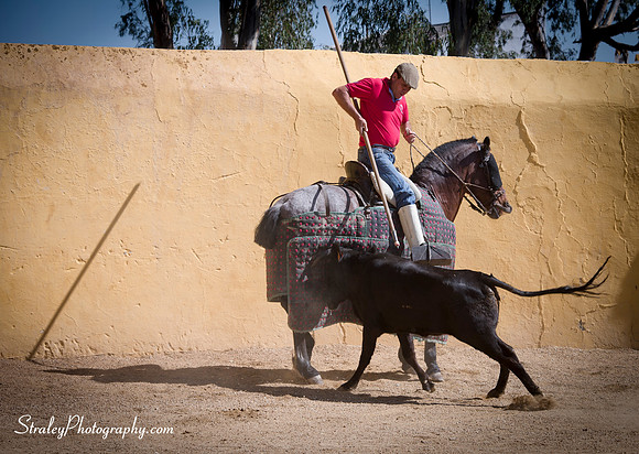 Seville 2013 10 10 - 0193