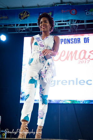 Spicemas 2017 Launch  2017 04 22  - 0788
