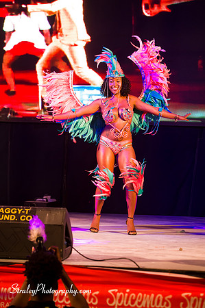 Spicemas 2018 Launch - 2018 04 07 - 0612