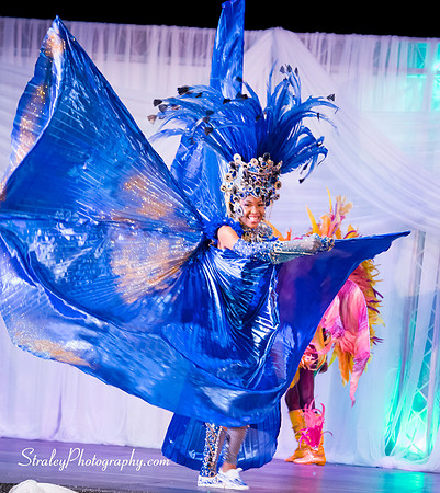 Spicemas National Queen Show - 2017 08 10 - 0727