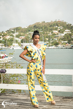 Miss Caribbean United About Town  - 2018 06 01 - 0017
