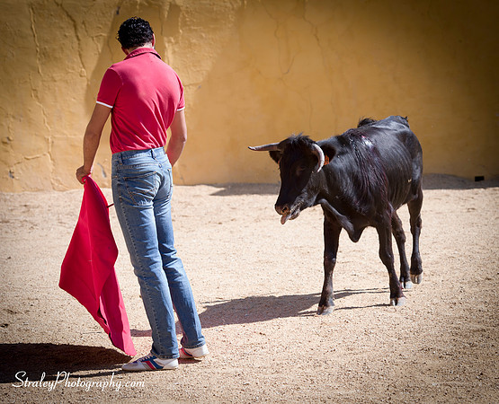 Seville 2013 10 10 - 0317