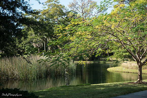 Ringling Museum 2014 12 05 - 0006