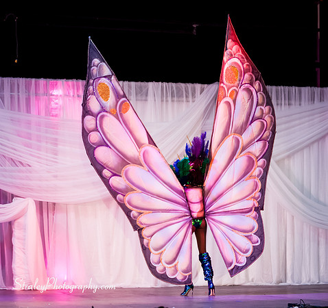 Spicemas National Queen Show - 2017 08 10 - 0622