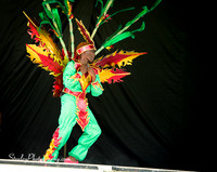 Spicemas Kiddie Carnival - 2017 08 05 - 0742