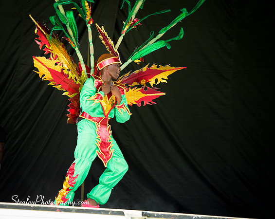 Spicemas Kiddie Carnival - 2017 08 05 - 0742
