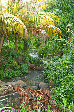 Grenada 11 2010  0333