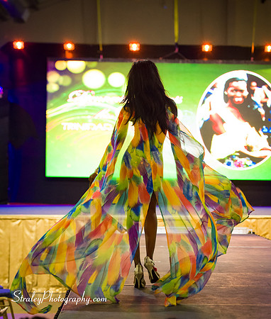 Miss Caribbean United Pageant  2017 04 29  - 0865