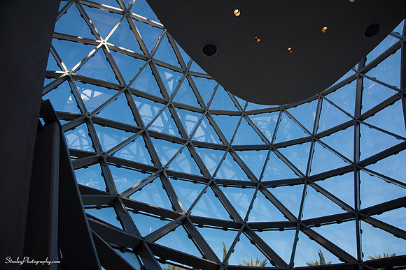 Chihuly and Dali  2014 12 17 - 0147