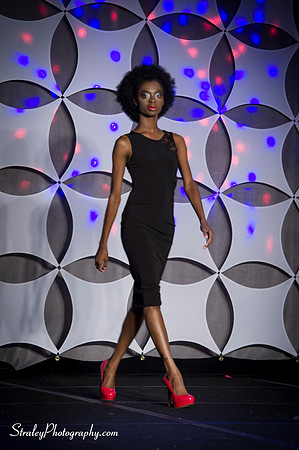 Southern Womens Show 2013 10 19 - 0204