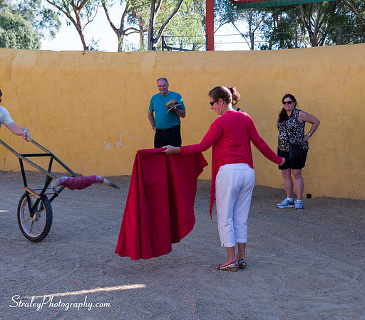Seville 2013 10 10 - 0045