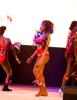 Spicemas 2018 Launch - 2018 04 07 - 0563