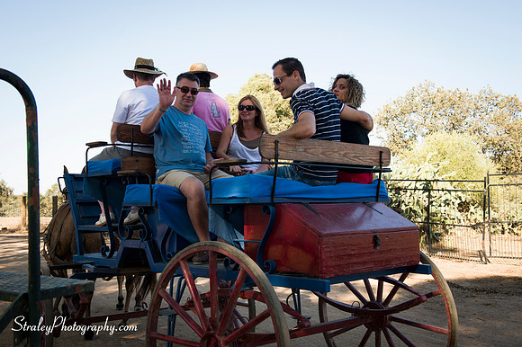 Seville 2013 10 10 - 0095