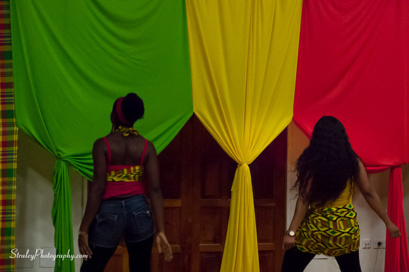 Riddims Talent Showcase 2015 03 28  - 0029