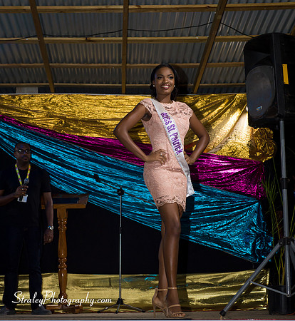 St Davids 2017 Carnival Launch 2017 06 04  - 0081