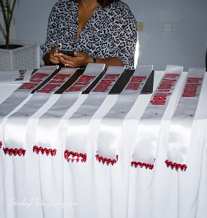 Caribbean United Pageant Kickoff - 2017 04 26 - 0019