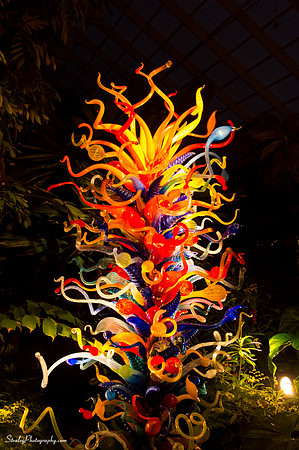 Chihuly at Fairchild Gardens  2015 01 08 - 0173