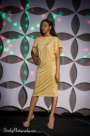 Southern Womens Show 2013 10 17 - 0580