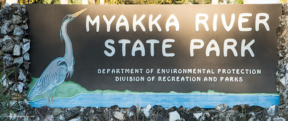 Myakka State Park  2014 12 15 - 0145