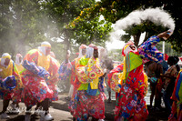 Parade of the Bands - Spicemas 2017 - 2017 08 14 - 0364