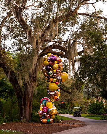 Chihuly at Fairchild Gardens  2015 01 08 - 0094