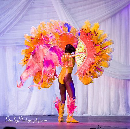 Spicemas National Queen Show - 2017 08 10 - 0550