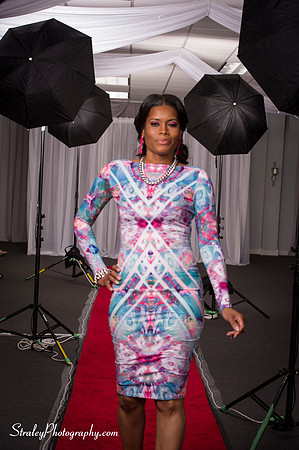 Arlenes Gowns 2013 10 13 - 820