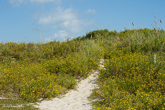 Ocracoke Island  2014 10 05 - 0031