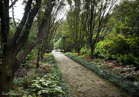 Elizabethan Gardens 2014 10 02 - 0076
