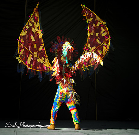 Spicemas Kiddie Carnival - 2017 08 05 - 1192