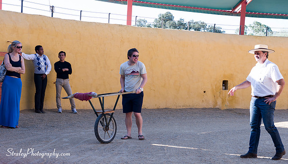 Seville 2013 10 10 - 0040