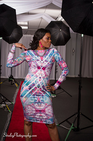 Arlenes Gowns 2013 10 13 - 825