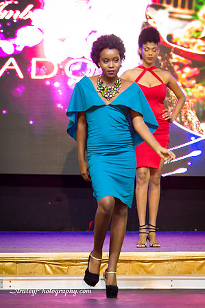 Miss Caribbean United Pageant  2017 04 29  - 1309
