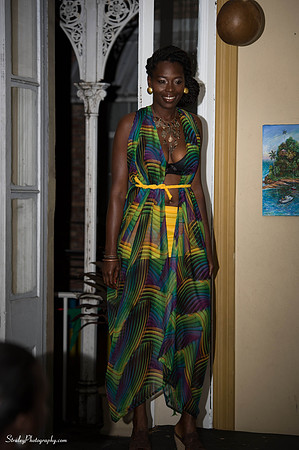 Evening of Fashion 2014 02 21 - 0021