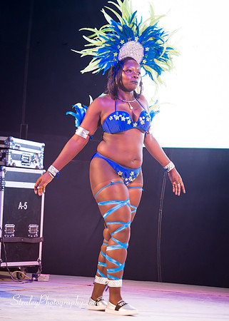 Spicemas 2018 Launch - 2018 04 07 - 0569