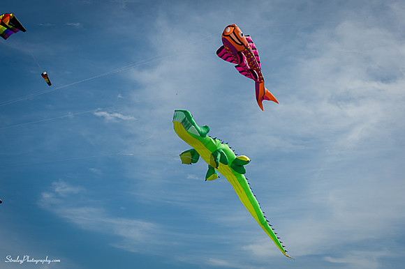 Kites 2014 09 28 - 0007