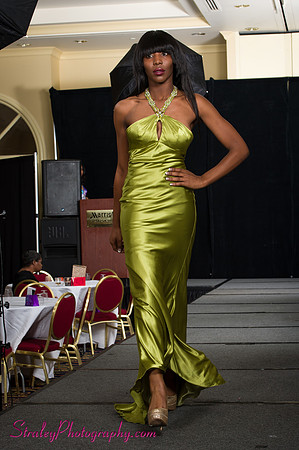 Arlenes Gowns Runway 2013 03 10 - 0221