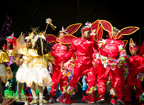 Spicemas Kiddie Carnival - 2017 08 05 - 1263