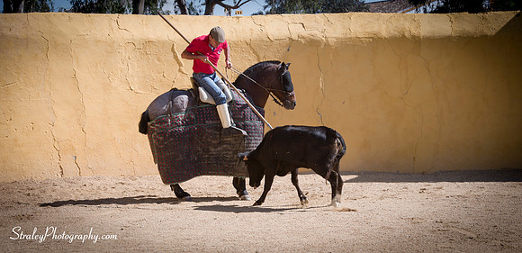 Seville 2013 10 10 - 0229