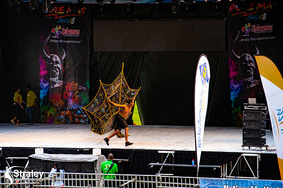Pageant of the Bands - 2018 08 13 - 0282