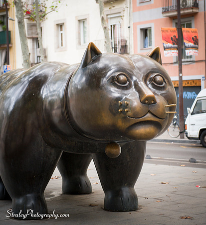 Barcelona 2013 10 04 - 0157