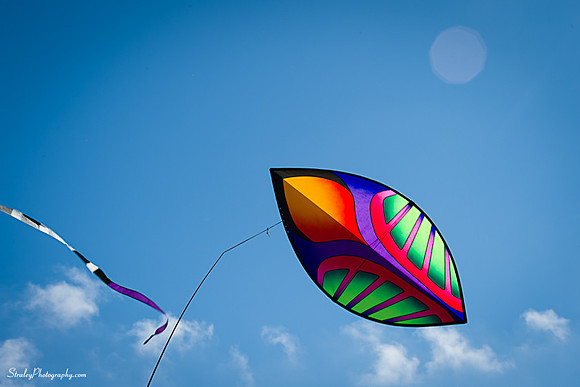 Kites 2014 09 30 - 0016