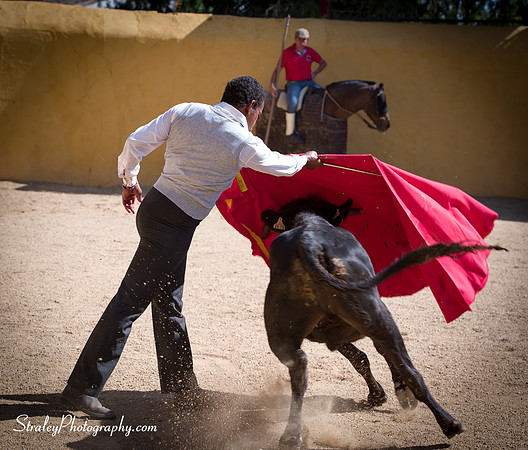 Seville 2013 10 10 - 0302