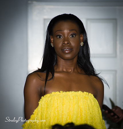 Caribbean United Pageant Kickoff - 2017 04 26 - 0042