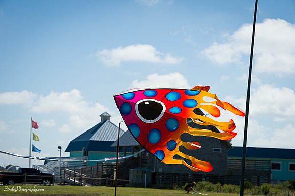 Kites 2014 09 30 - 0019