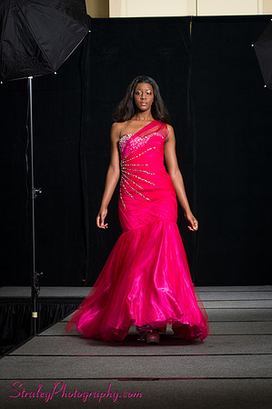 Arlenes Gowns Runway 2013 03 10 - 0092