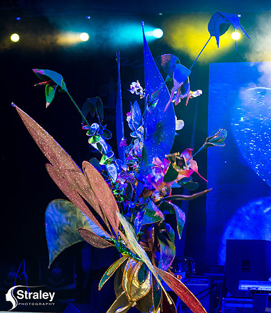 King and Queen of the Bands - 2018 08 13 - 0190