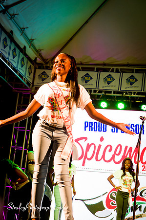 Spicemas Launch 2016 04 02 - 0188