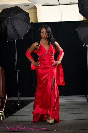 Arlenes Gowns Runway 2013 03 10 - 0253