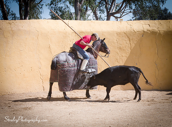 Seville 2013 10 10 - 0217
